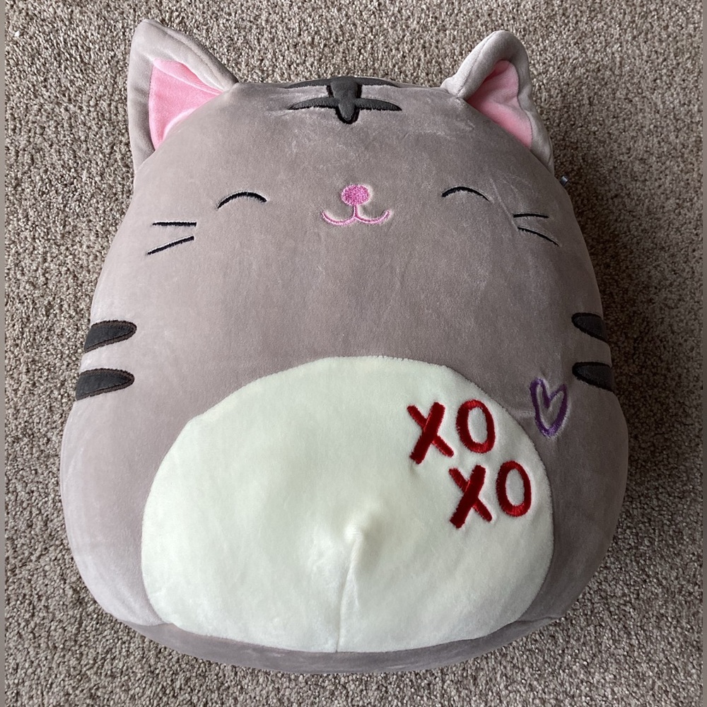 Carson the grey tabby cat with xoxo